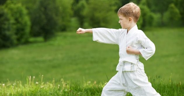 spordiklubide: Karate
