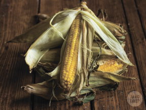 Corn Mehhiko maitsev kaste ja maitsetaimed