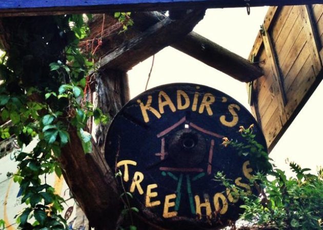 Kadir on Tree House 2