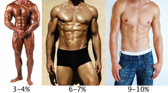 keha rasvaprotsendi meeste