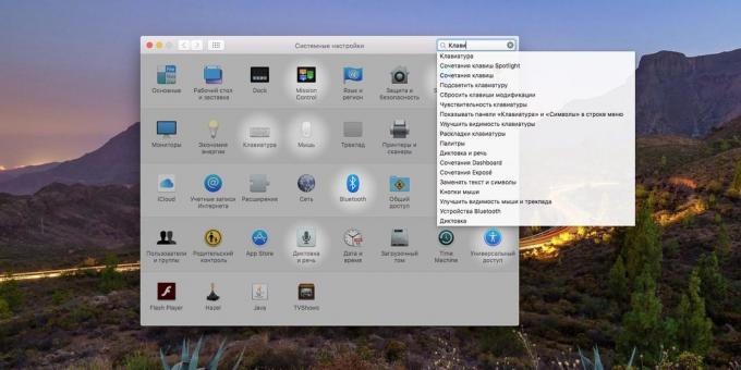 Süsteemi MacOS seaded: Kuidas kasutada otsingut