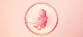 17. rasedusnädal: mis saab lapsest ja emast - Lifehacker