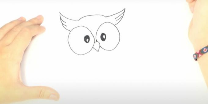 Kuidas joonistada öökulli: joonistada kõrvakimbud