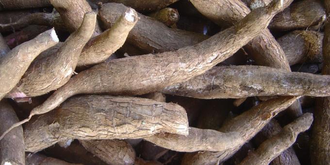 Kahjulikud tooted: maniokk