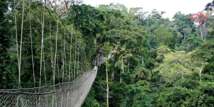 Hirmsaimad sillad: Kakumi rahvuspargi köisraudtee