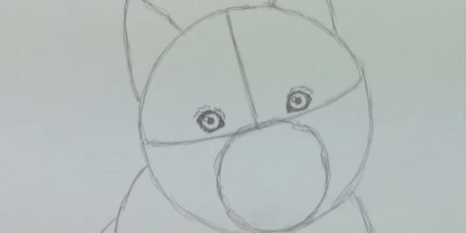 Joonista koera silmade