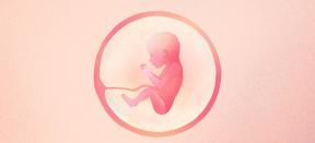 21. rasedusnädal: mis saab lapsest ja emast - Lifehacker