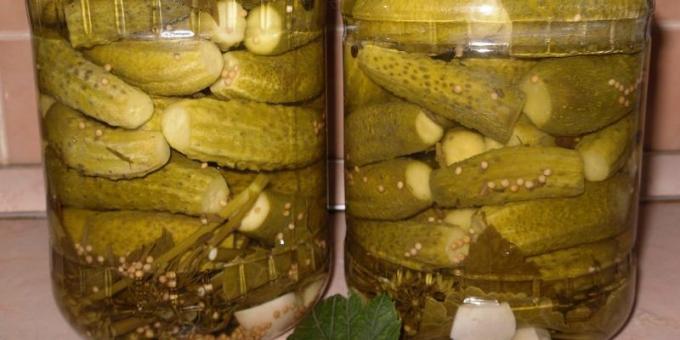Pickles sinepi ja mädarõika