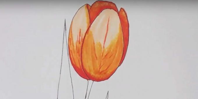 Kuidas tulpi joonistada: minge joonis üle värvitu markeriga