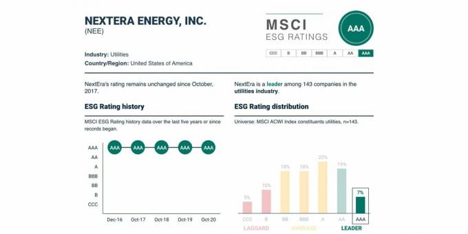 ESG hinnang ja selle dünaamika NextEra Energy jaoks, $ NEE, mai 2021.