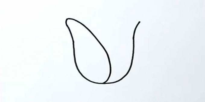 Kuidas tulpi joonistada: joonistage vasak kroonleht