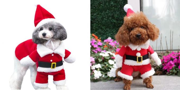 Christmas kostüümid koertele woofing Santa
