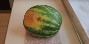 Kuidas valida magus ja küps melon