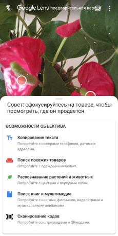 Nimetage tüüpi toalilled Google Lens