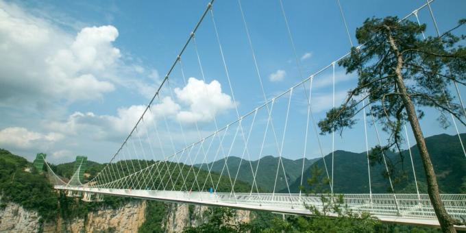Hirmsaimad sillad: Zhangjiajie klaasist sild