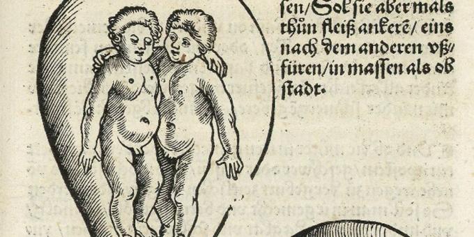 Keskaja lapsed: kaksikud kõhus, Eucharius Rodion