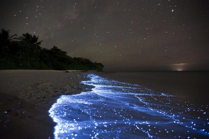 Bioluminestseeruv Beach - Vaadhoo, Maldiivid parimad rannad
