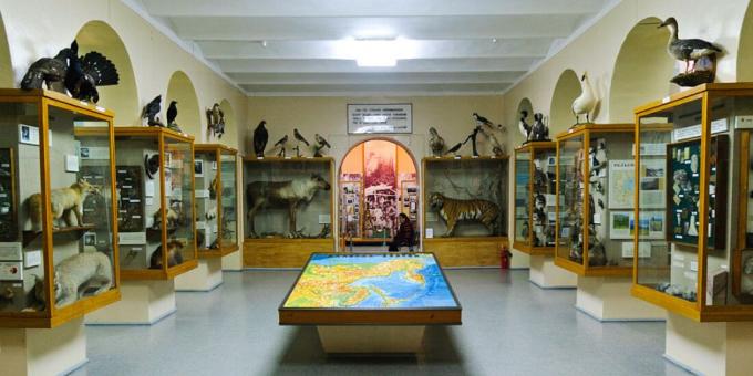 Saratovi piirkondlik koduloomuuseum