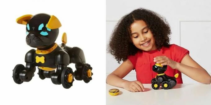 Kuidas lapsi kodus lõbustada: interaktiivne robotkoer