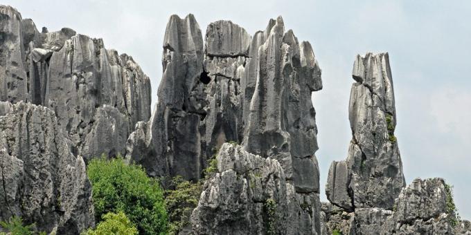 Aasia territooriumil teadlikult meelitab turiste: Shilin Stone Forest, Hiina