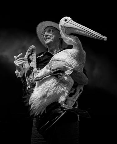 Pelikani omanik Tony Lowe