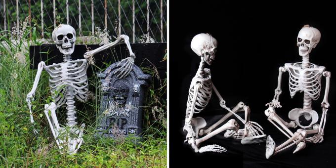 inimese skelett