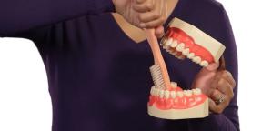 Kuidas oma hambaid: kõige üksikasjalikke juhiseid