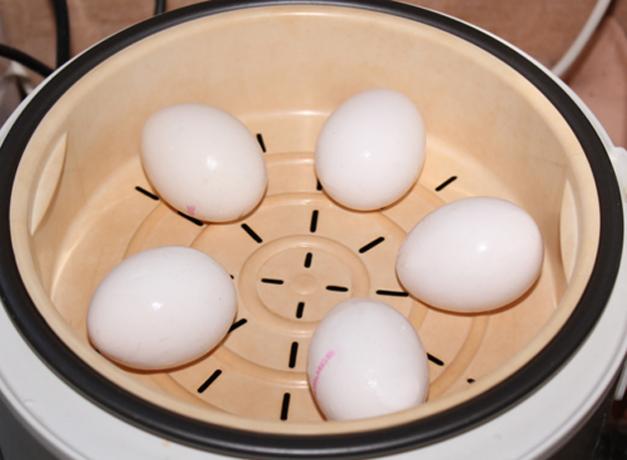Kuidas kokk munad kahe katla või multivarka