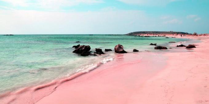 Imeilus koht: roosa rannas Sardiinia, Itaalia