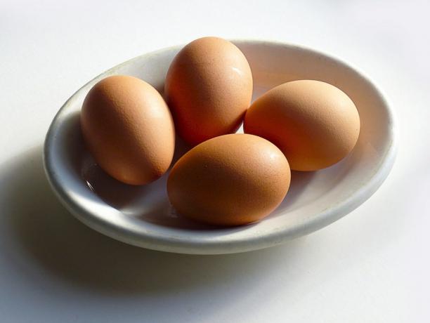 Valguallikad: munad
