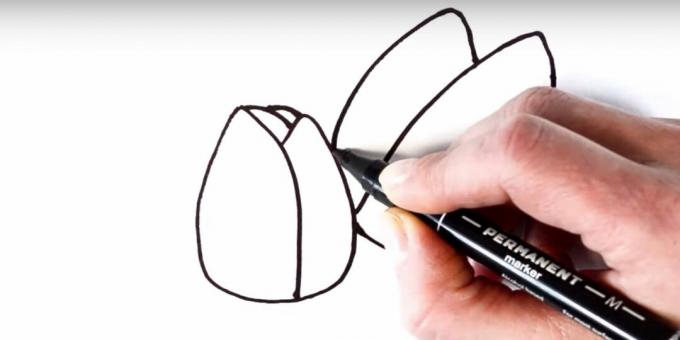 Kuidas tulpi joonistada: lisage vasak kroonleht