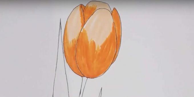 Kuidas tulpi joonistada: värvige pung oranžiks