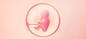 22. rasedusnädal: mis saab lapsest ja emast - Lifehacker