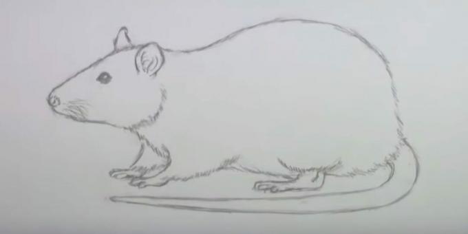 Kuidas hiirt joonistada: visandite kustutamine