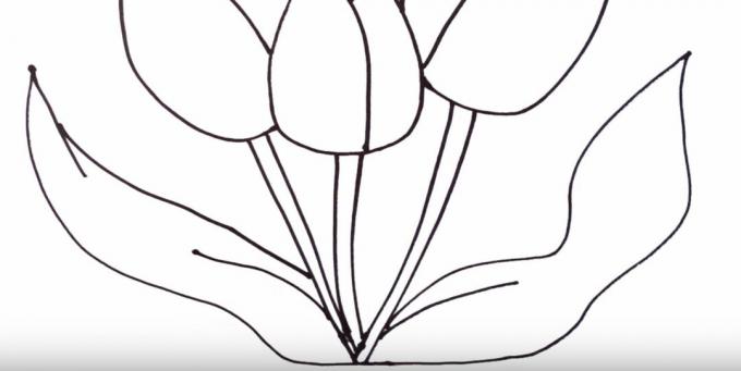 Kuidas tulpi joonistada: kujutage vasakut lehte