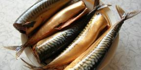 7 viisi kiiresti ja maitsev hapukurk makrell kodus