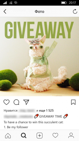 Business Instagram: kingitus
