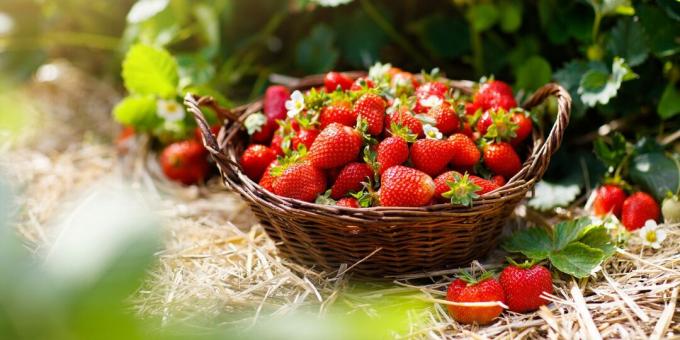 Hooajakaubad: maasikas