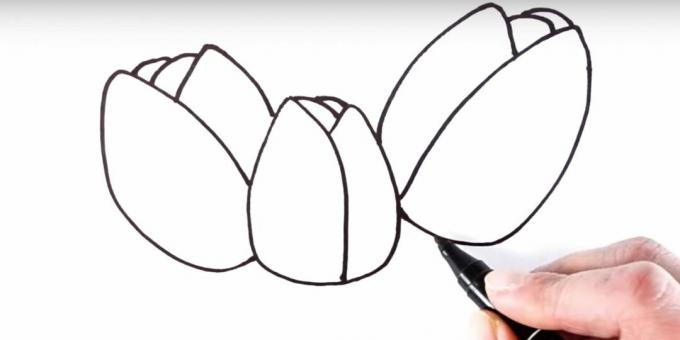 Kuidas tulpi joonistada: lisage kroonlehed tagasi
