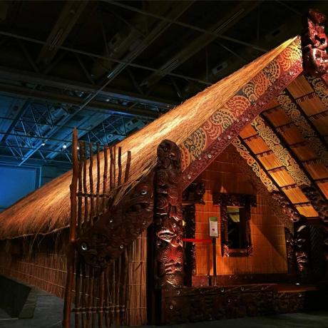 Muuseum Uus-Meremaa (Te Papa Tongarewa)