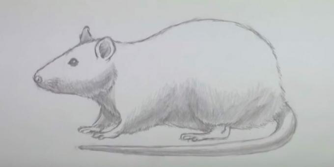 Kuidas hiirt joonistada: pimendage mõnda piirkonda