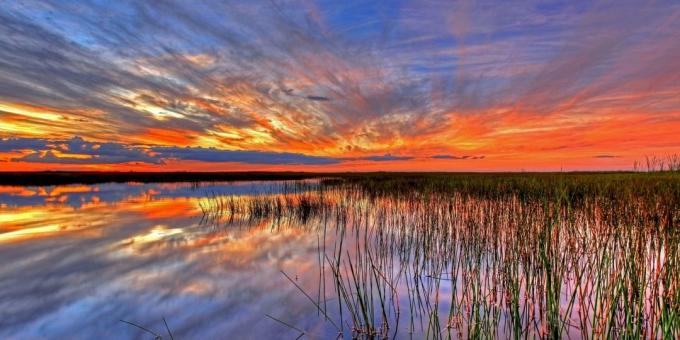 Everglades National Park, Ameerika Ühendriigid
