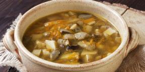 10 maitsvat suppi värsketest ja kuivatatud puravikud