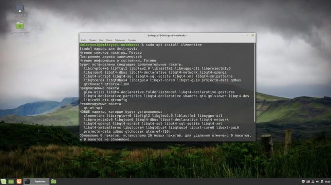 Kuidas paigaldada tarkvara Linux: terminal