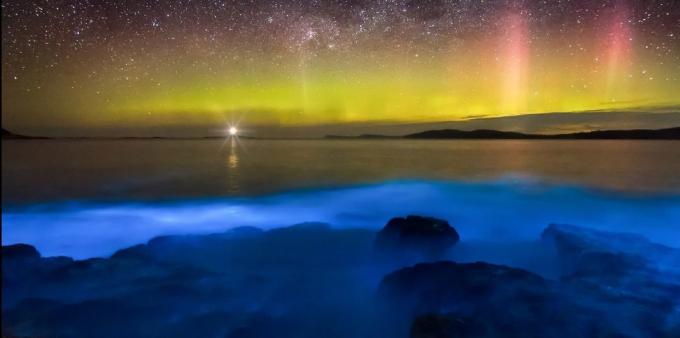 Imeilus koht: bioluminestseeruv rannikuvetes Tasmaania