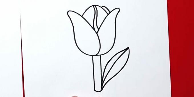 Kuidas tulpi joonistada: viimistlege õige leht