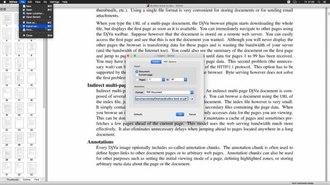 DjVu teisendamine PDF-failiks: DjView