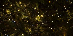 6 Christmas traditsioone, mis on tulnud meid paganluse