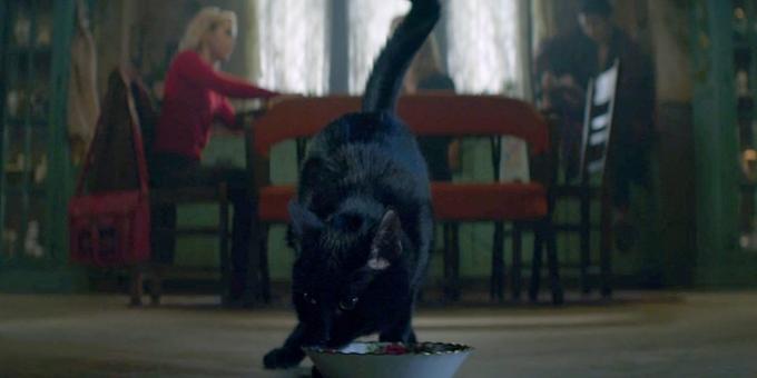 kass Salem