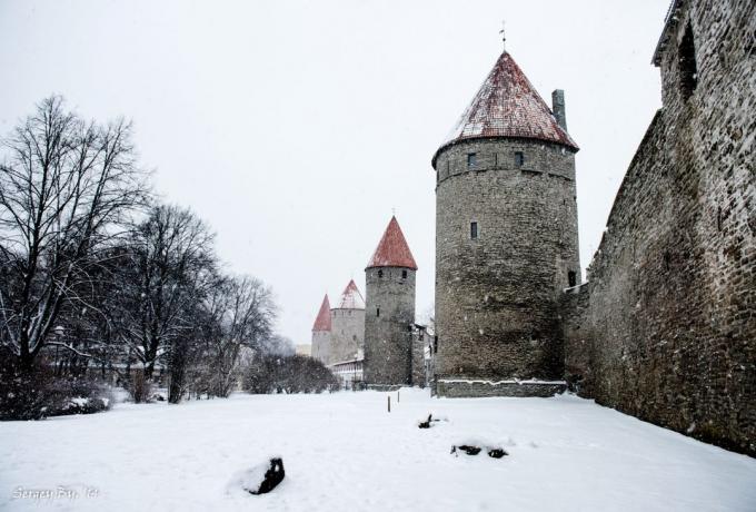 Tallinn seina